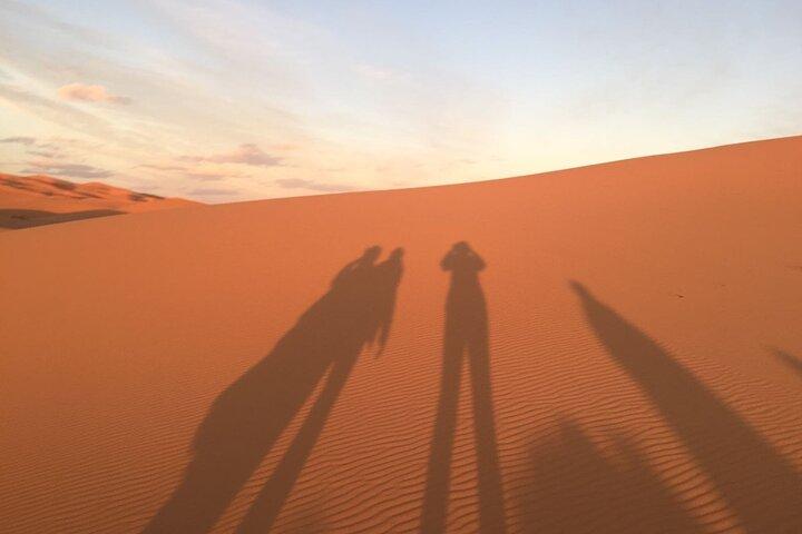 2-Days Morocco Desert Tour from Marrakech to Zagora