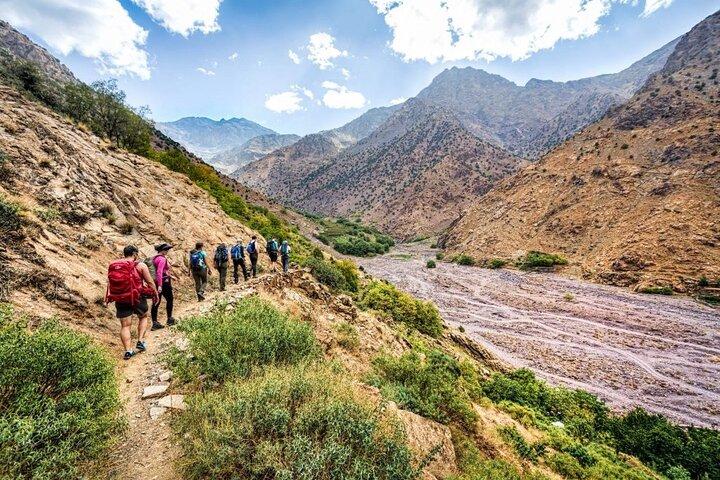 1 Day Trip to Ourika Valley