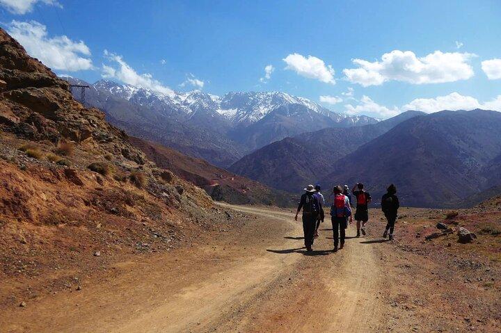 1 Day Trip to Ourika Valley