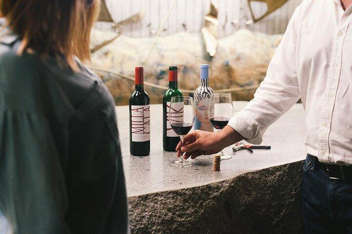 Privat Colchagua VIK och Montes Wineries Experience