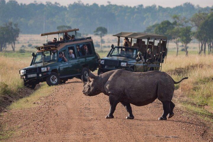 Heldags privat äventyr i Tarangire National Park