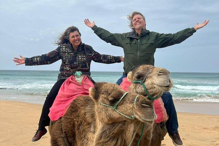 Tangier Private Tour from Marbella Including Camel Ride & Lunch