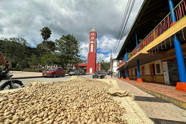 Kaffeeregion Anden: Kaffeetour, Pijao & Buenavista
