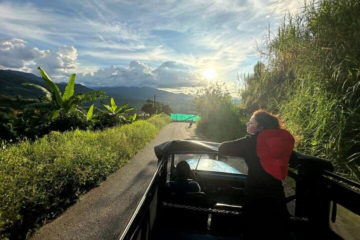 Kaffeeregion Anden: Kaffeetour, Pijao & Buenavista