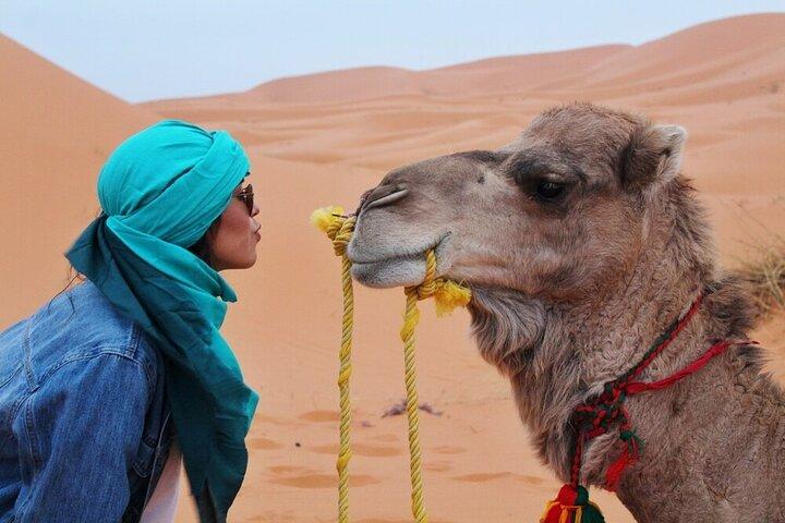 VIP Quad Biking e Camel Riding a Riyadh Red Sand Dunes