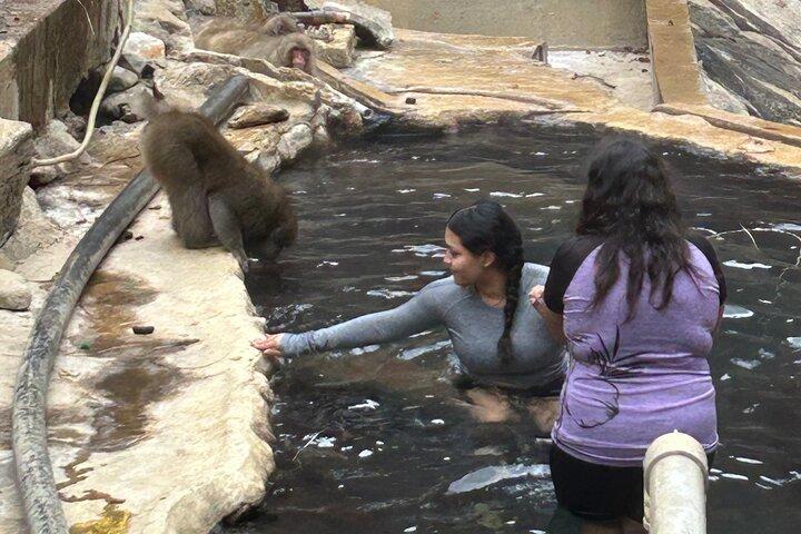 Excursão de um dia inteiro no Snow Monkey Park, de/para Tóquio, 2 - 12 pessoas