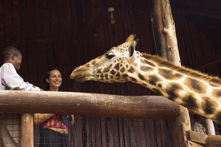 Urban Safari & Wildlife Wonders: Nairobi Day Adventure