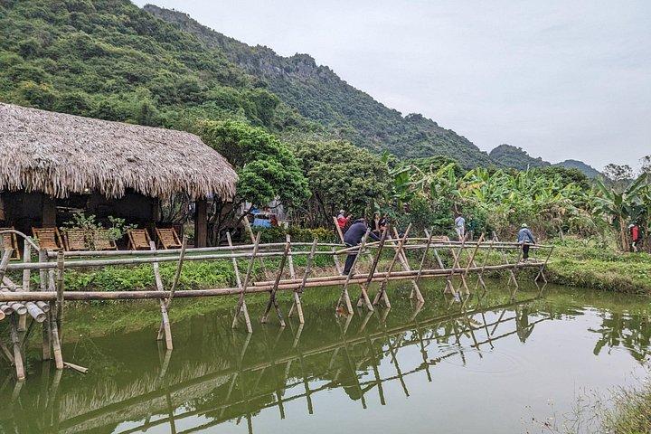 豪華ランハ湾クルーズ 日帰り旅行：カヤック、サイクリング、水泳