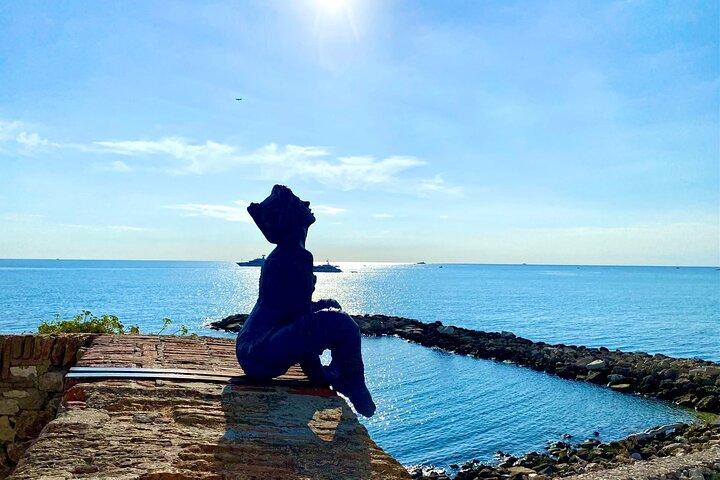 Heldags privat rundtur: Cannes, Antibes, Nice