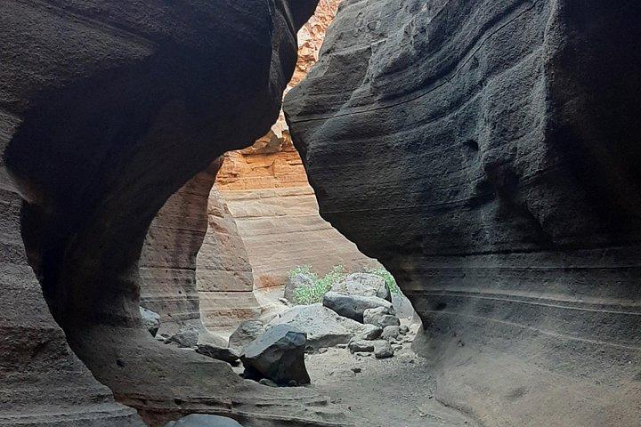 スカイ・レベルズの現地ガイドによるバランコ・デ・ラス・バカス、洞窟＆村