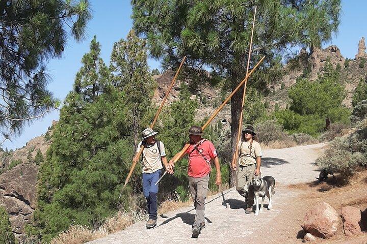 Roque Nublo : Sky Rebelsと火山ハイキング