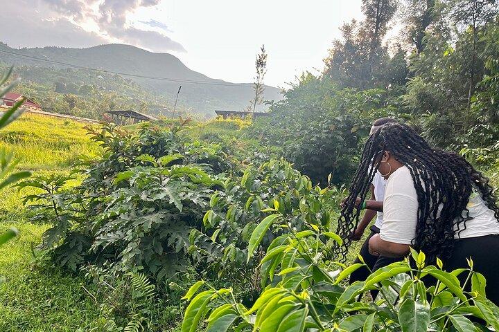 1 Tag Lake Kivu Abenteuer, malerische Wanderung & Kaffeeplantagentour