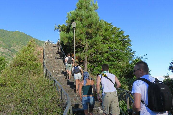 Vingård Escapade og skywalk, en vintur 4x4 eventyr