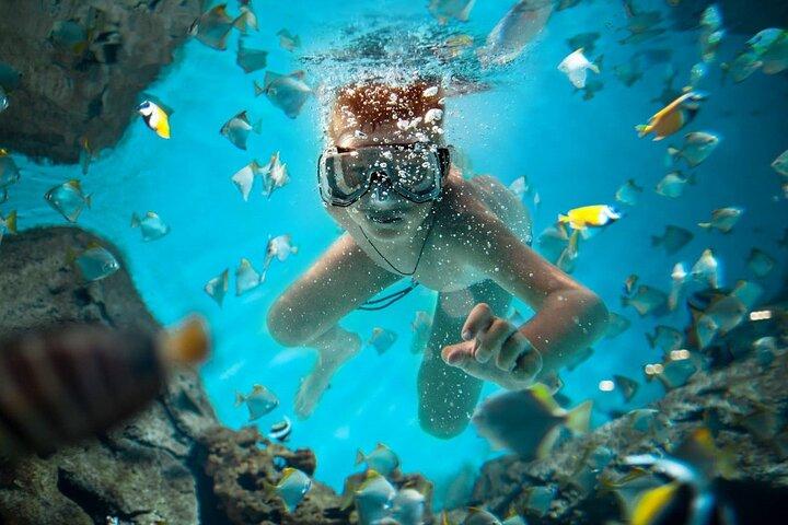 Full Day Catalina Island Snorkeling Adventure & Altos de Chavon