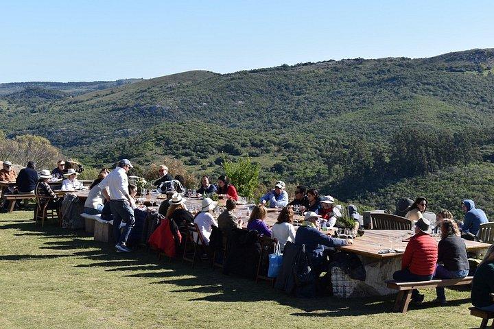 Uncover a Secluded Vineyard for Lunch