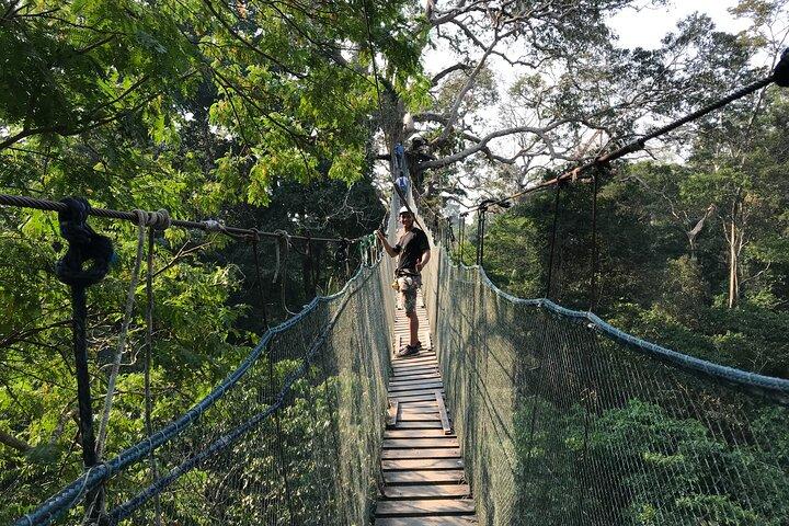 Tambopata Reserve 4 dagars tur
