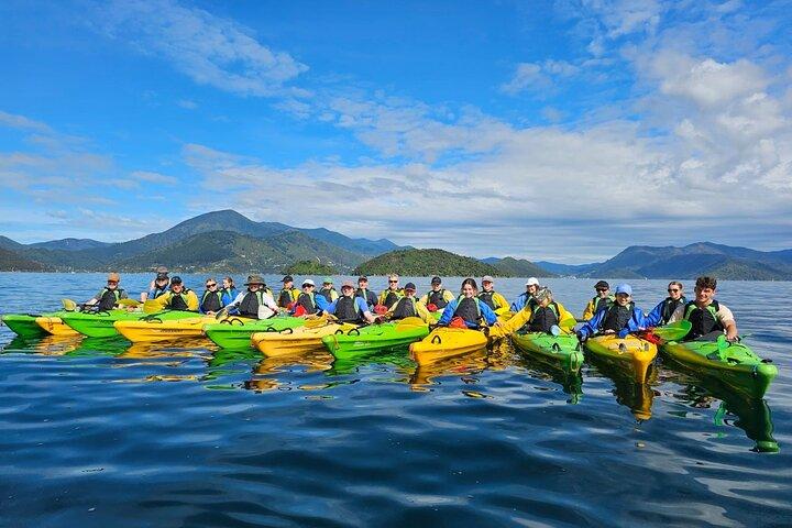Tour de Caiaque Marítimo com Guided Day de Picton