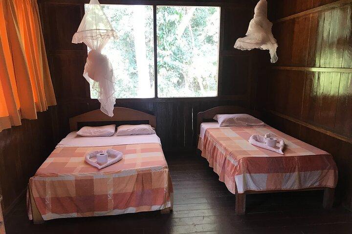 Tambopata Reserve 4 dagars tur
