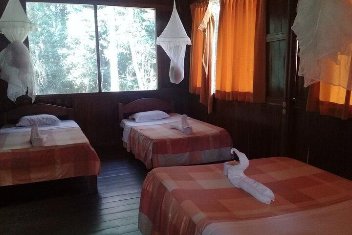 Tambopata Reserve 4 dagars tur