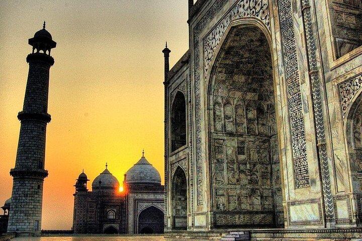 Lo stesso giorno tour del Tajmahal con SOS Elephant/Bear Wildlife Sanctuary