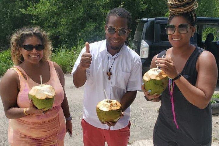 Visita guiada pelas colinas da Jamaica