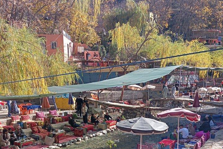 Day Trip to Ourika Valley from Marrakech