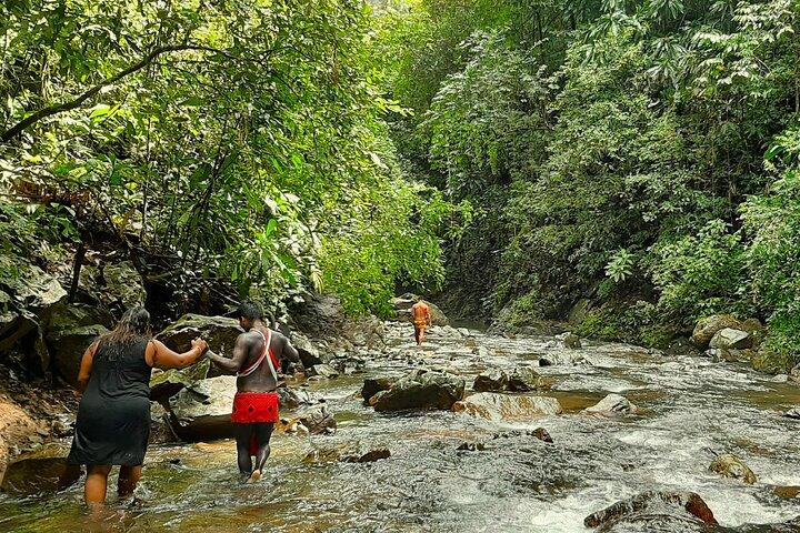 Excursão a uma cachoeira e aldeia de Embera com almoço incluído