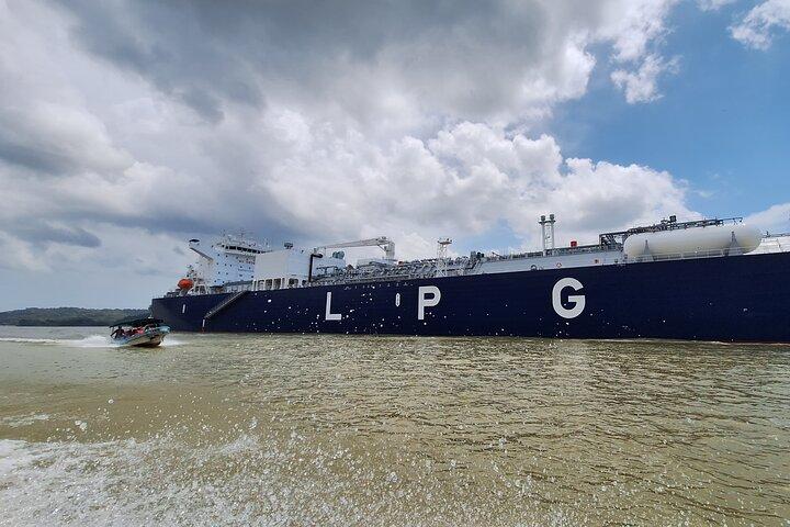 Bootstour auf dem Panamakanal zu Affen und Faultierinseln