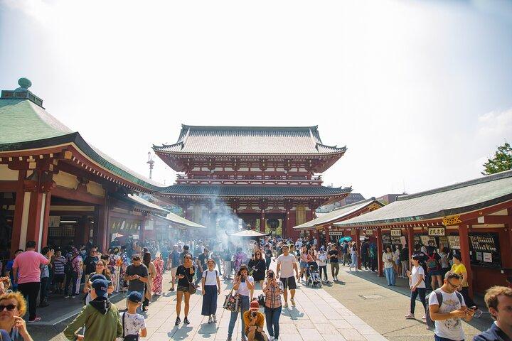 Full Day Tokyo Private Tour by Luxury Vehicle