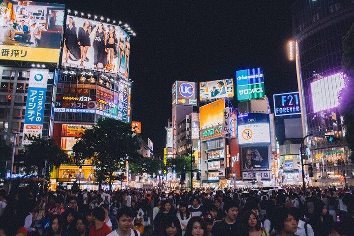 Full Day Tokyo Private Tour by Luxury Vehicle
