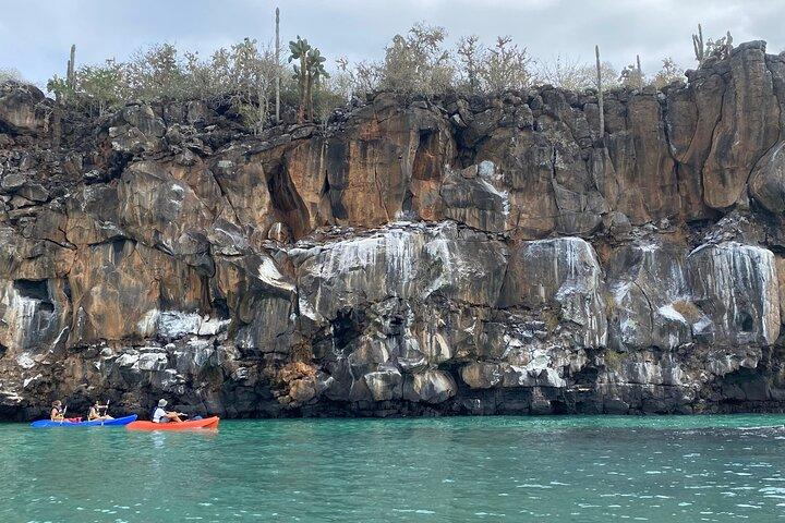Esperienza in kayak a Franklin Bay