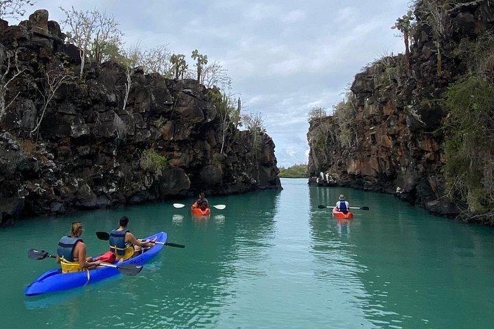 Kayaking Experience in Franklin Bay