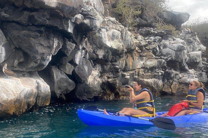 Kayaking Experience in Franklin Bay
