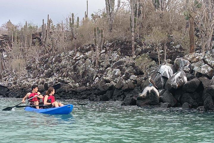 Kayaking Experience in Franklin Bay