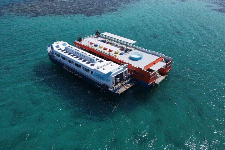 半潜水艦フルガダ1隻シュノーケリングストップ3時間ツアー