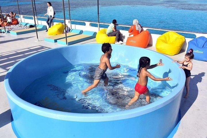 半潜水艦フルガダ1隻シュノーケリングストップ3時間ツアー