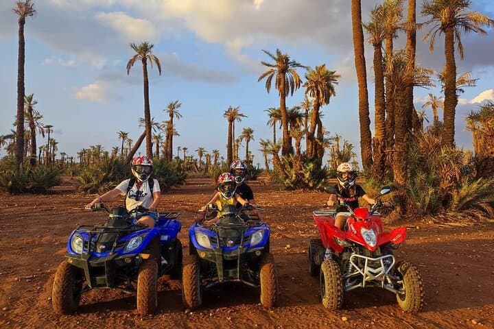 3 Hours Quad Excursion to the palm grove and Jbilat Desert