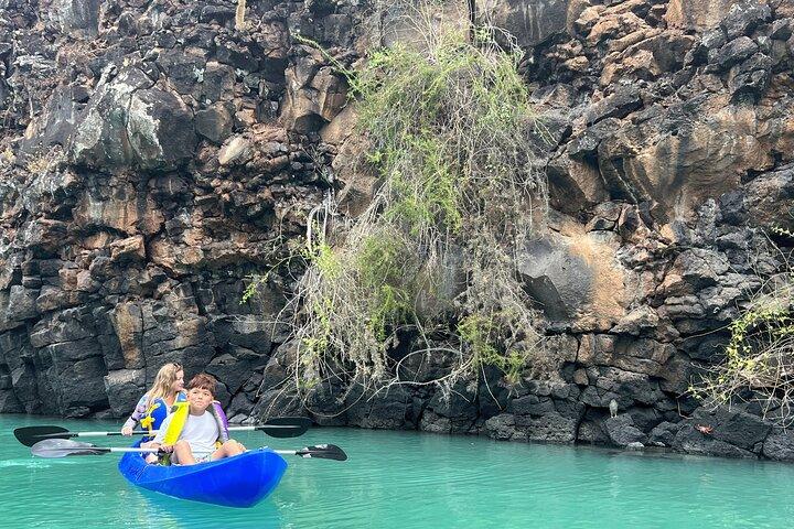 Esperienza in kayak a Franklin Bay