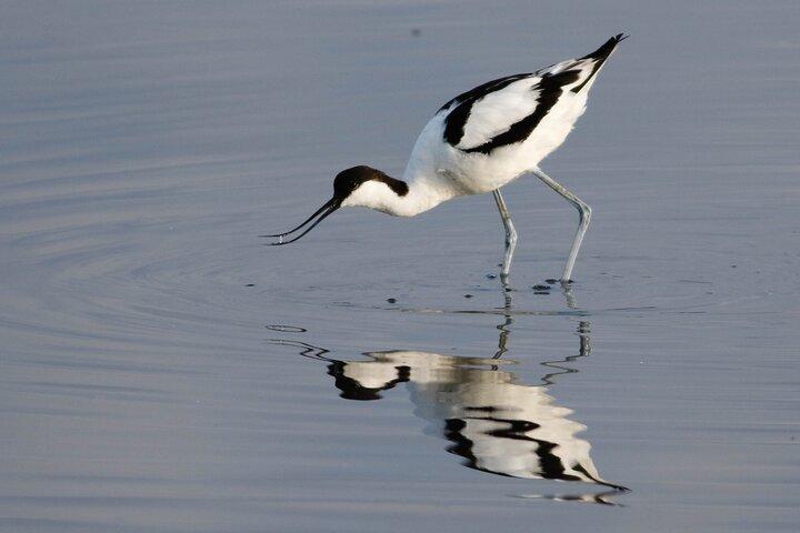 Lymington Wildlife Discovery Walk