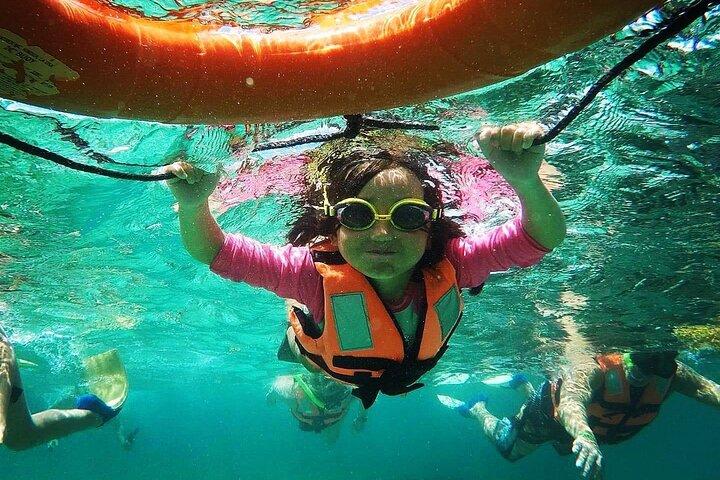 Snorkeling Guided Activity in Puerto Morelos Mexico