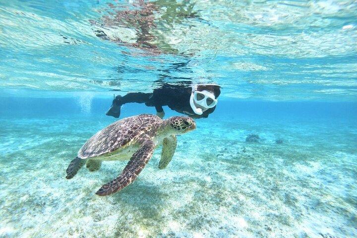 Okinawa Miyako Journée complète tortue marine tuba et SUP ou canoë