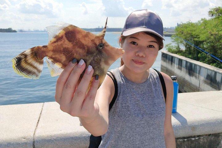 シンガポール南部諸島の初心者向けアングラーズフィッシングコース