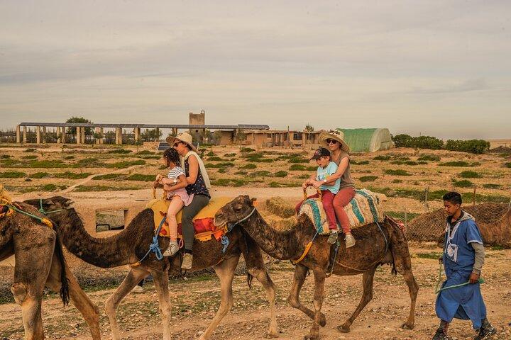 Agafay desert - Quad, camel, and dinner show