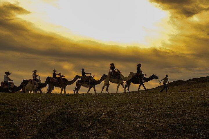Agafay desert - Quad, camel, and dinner show
