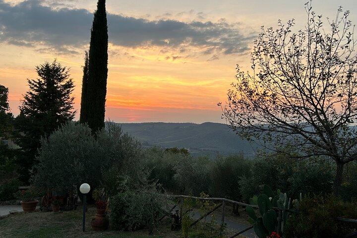 Esclusiva esperienza privata del Chianti Classico da Firenze