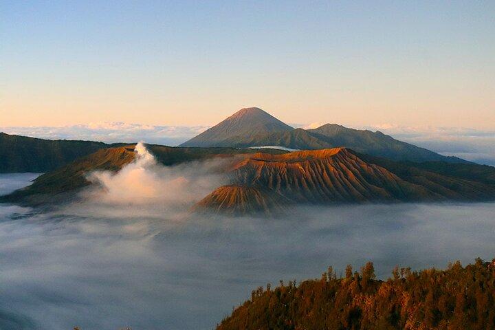 Heldags komfort privat Bromo-tur