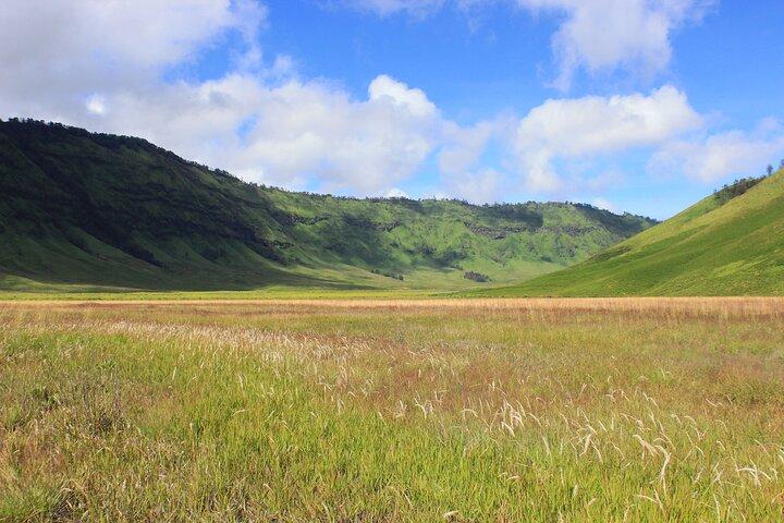 Heldags komfort privat Bromo-tur