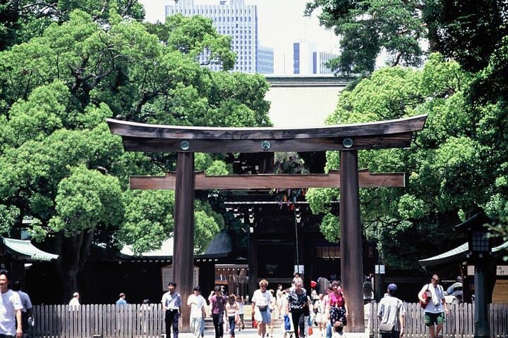 Tokyo 1-Day Bus Tour, pickup from 28 designated hotels in Tokyo