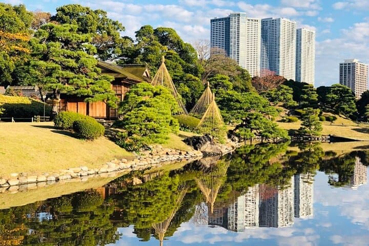 Tokyo 1-Day Bus Tour, pickup from 28 designated hotels in Tokyo