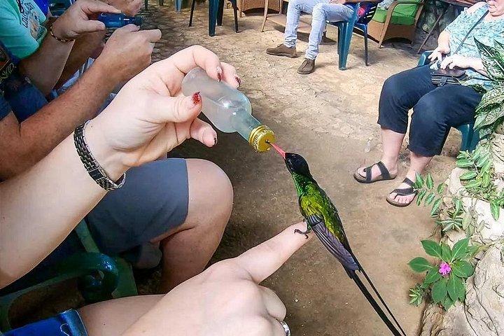 ネグリルのレーテ川ラフティングと野鳥保護区のプライベート ツアー